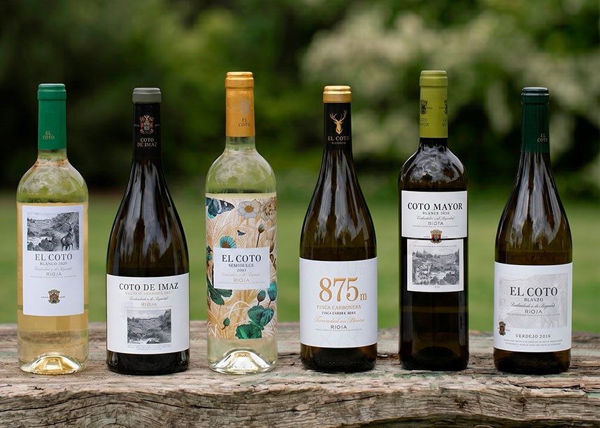 etiquetas para botellas de vino